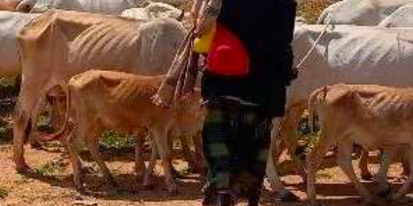 Closing the environment-migration gap in climate policy and programmes in Kenya